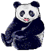 gif animate panda