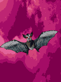 pipistrello con sfondo rosa