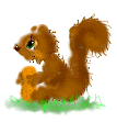 scoiattoli