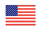 bandiera americana fig