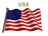 bandiera gif america