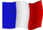 bandiera francese