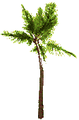 albero con foglie verdi