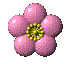 fiorellino rosa